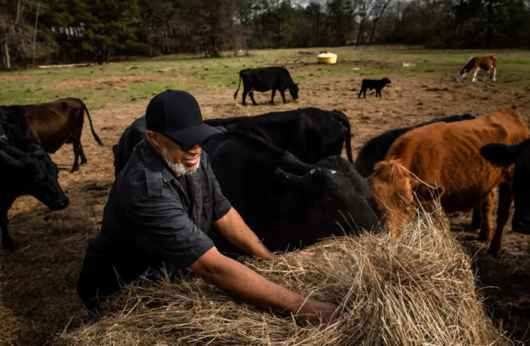 Black Texas farmers were finally on track to get federal aid. The state’s agriculture commissioner wants to stop that.